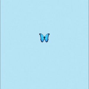 Meet your Posher, Avery